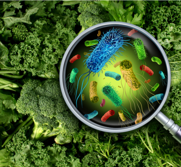 DG - Bacteria and germs on vegetables and the health risk of ingesting contaminated green food