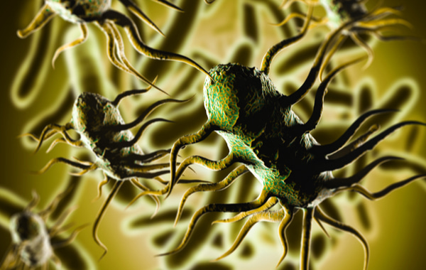 3D illustration of bacterium Listeria
