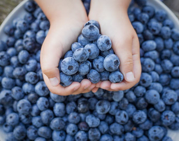 DG - Holding blueberries