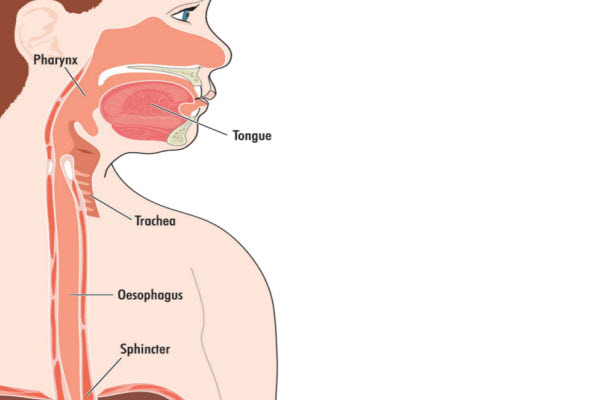 Burps are normal for a healthy gut Gut Dr